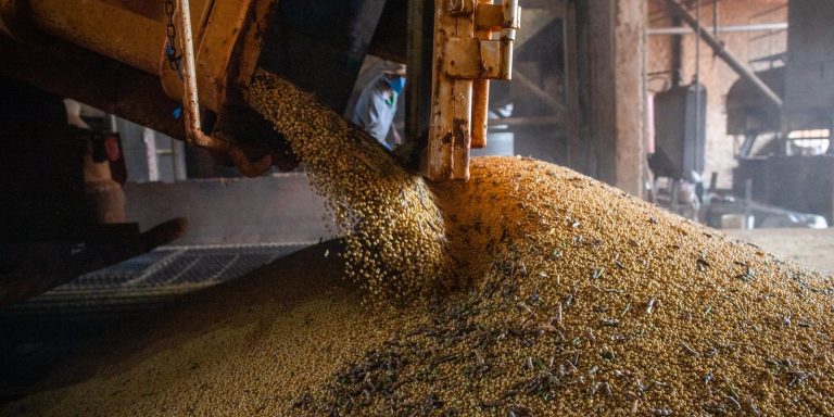 Produção brasileira de grãos deve aumentar apesar do El Niño producao-brasileira-de-graos-deve-aumentar-apesar-do-el-nino